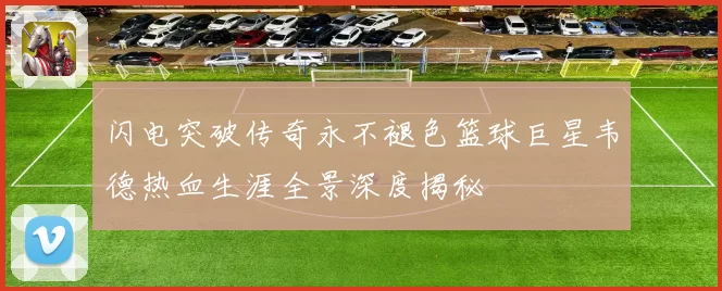 闪电突破传奇永不褪色篮球巨星韦德热血生涯全景深度揭秘