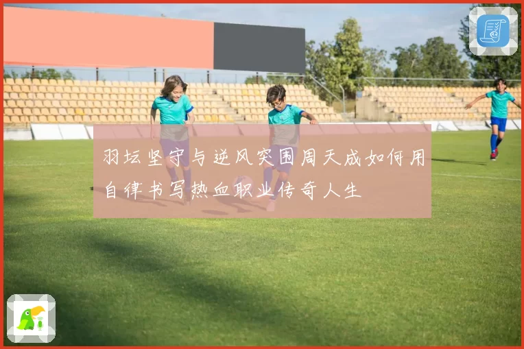 羽坛坚守与逆风突围周天成如何用自律书写热血职业传奇人生