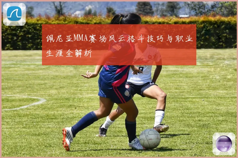 佩尼亚MMA赛场风云格斗技巧与职业生涯全解析