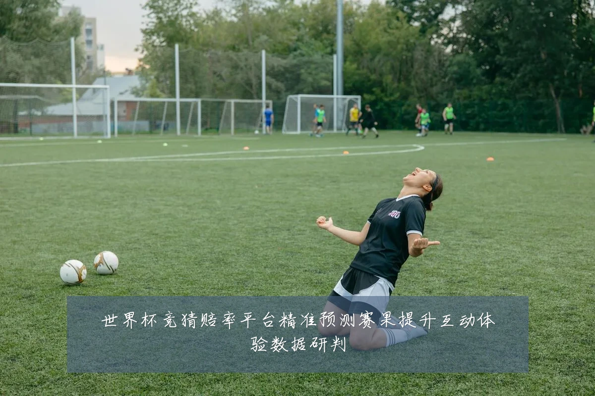 世界杯竞猜赔率平台精准预测赛果提升互动体验数据研判